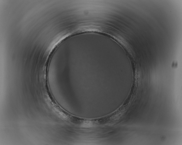 X0000112430790200908281901