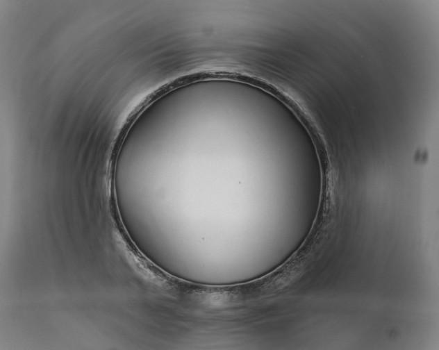 X0000112430791200908281901