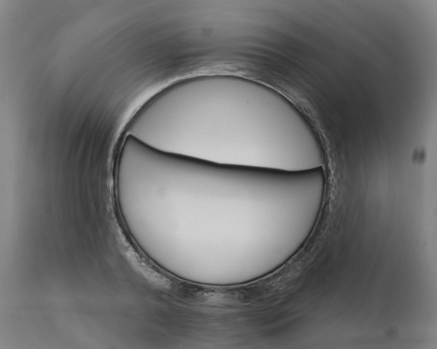 X0000112430792200908281901