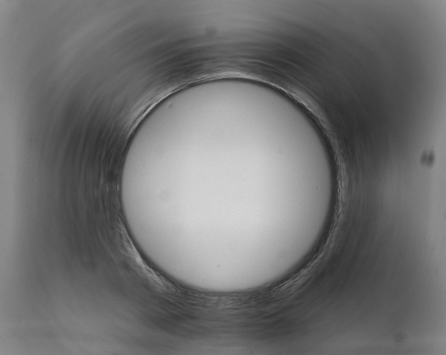 X0000112430793200908281901