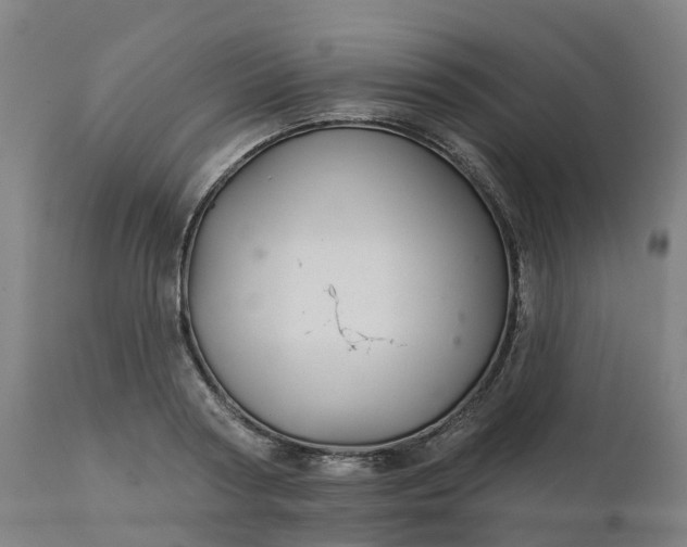 X0000112430794200908281901