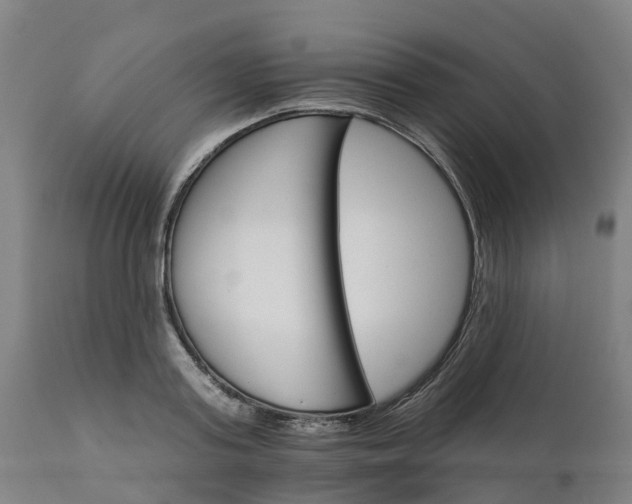 X0000112430795200908281901