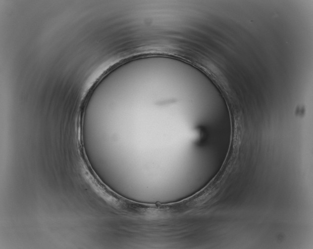 X0000112430796200908281901