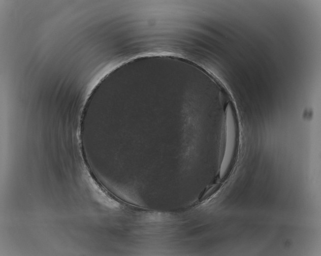 X0000112430797200908281901