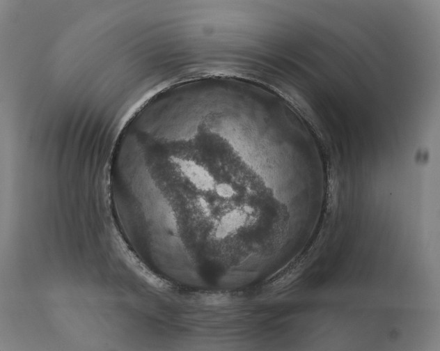 X0000112430798200908281901