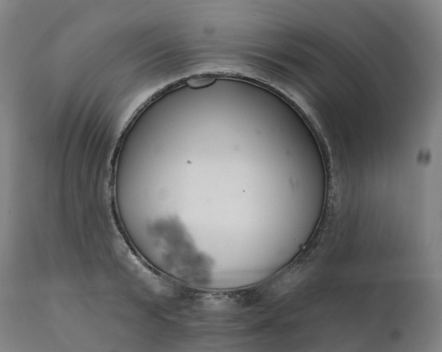 X0000112430799200908281901