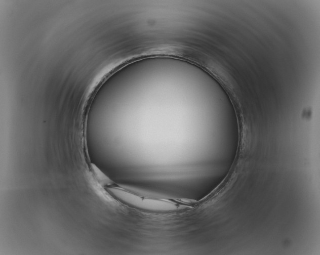 X0000112430800200908281901