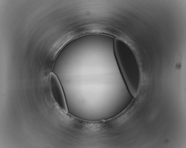 X0000112430801200908281901