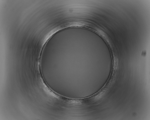 X0000112430802200908281901