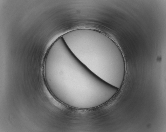 X0000112430803200908281901