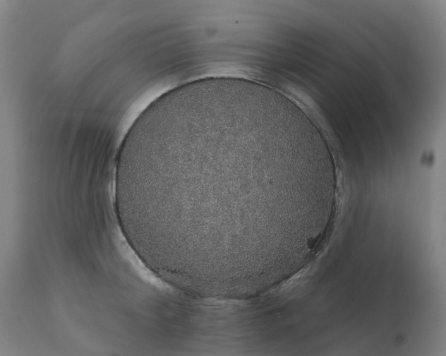 X0000112430804200908281901