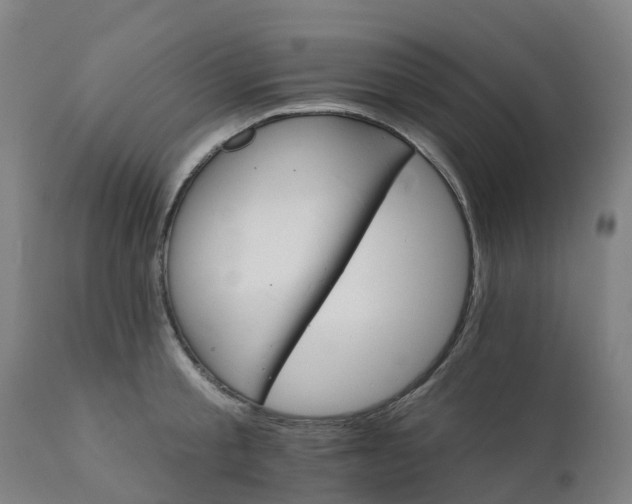 X0000112430805200908281901