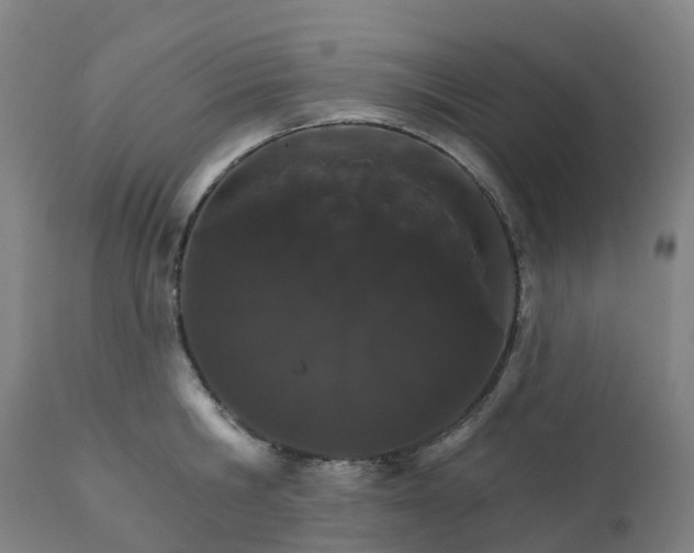 X0000112430806200908281901