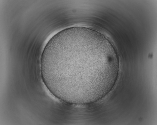 X0000112430808200908281901