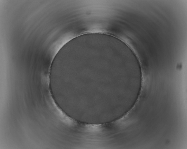 X0000112430810200908281901