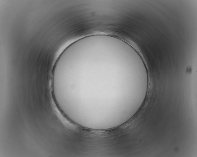 X0000112430811200908281901