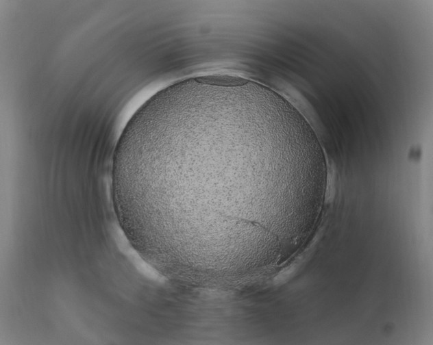 X0000112430812200908281901