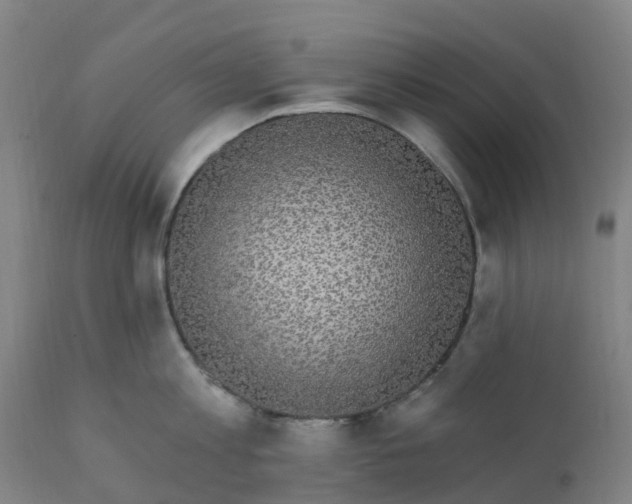 X0000112430813200908281901