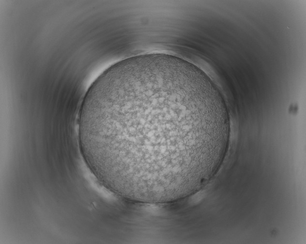 X0000112430814200908281901