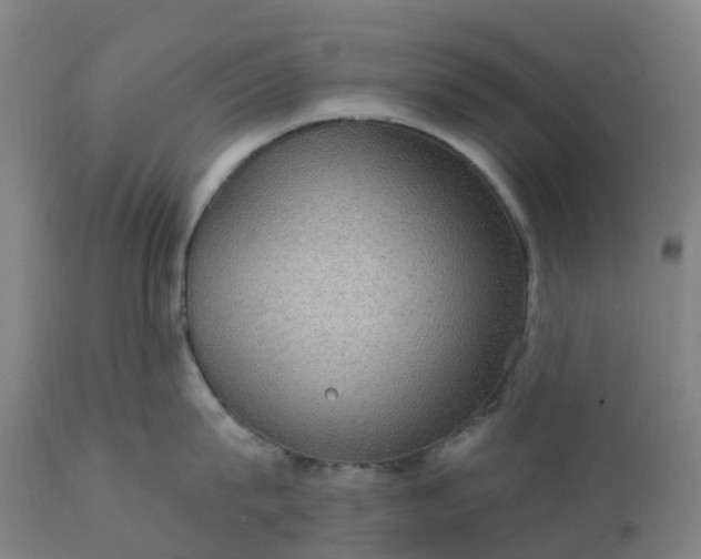 X0000112430815200908281901