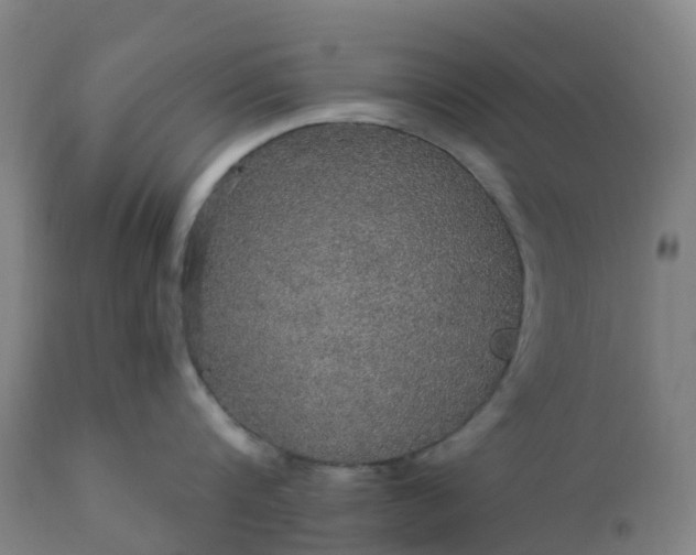 X0000112430816200908281901