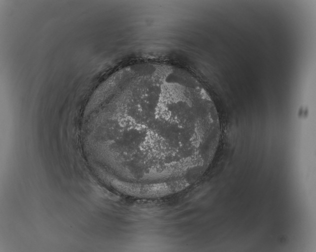 X0000112430817200908281900