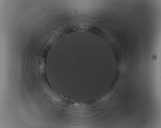 X0000112430818200908281900