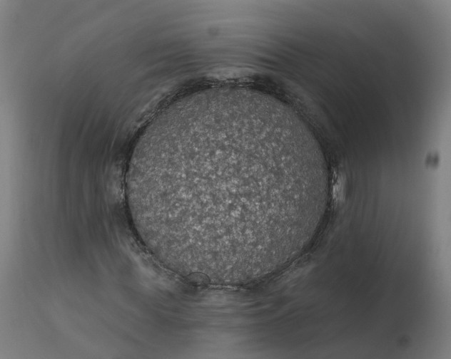 X0000112430819200908281900