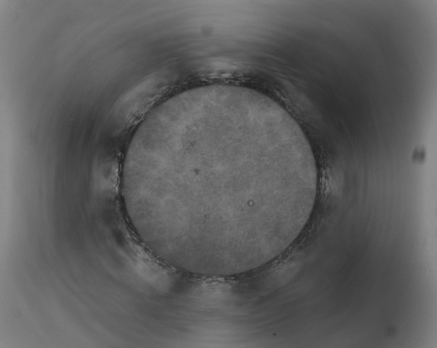 X0000112430820200908281900