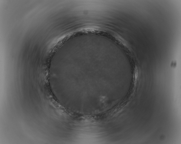 X0000112430822200908281900