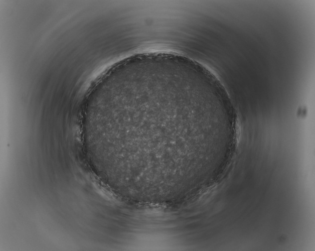 X0000112430823200908281900