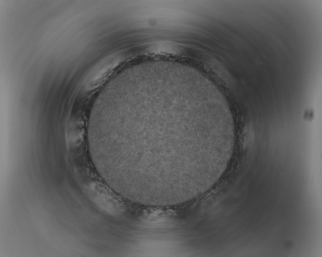 X0000112430824200908281900