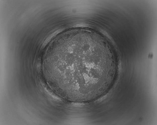 X0000112430825200908281900