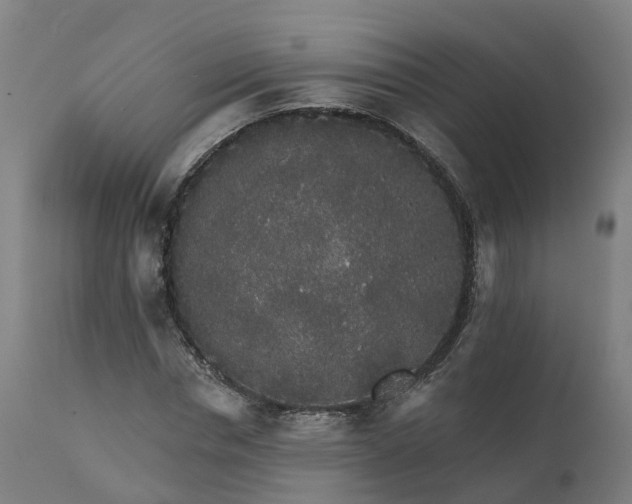 X0000112430826200908281900