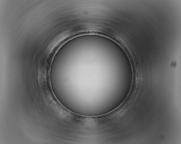 X0000112430827200908281900