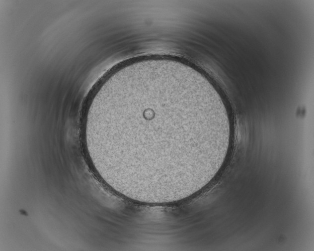 X0000112430828200908281900