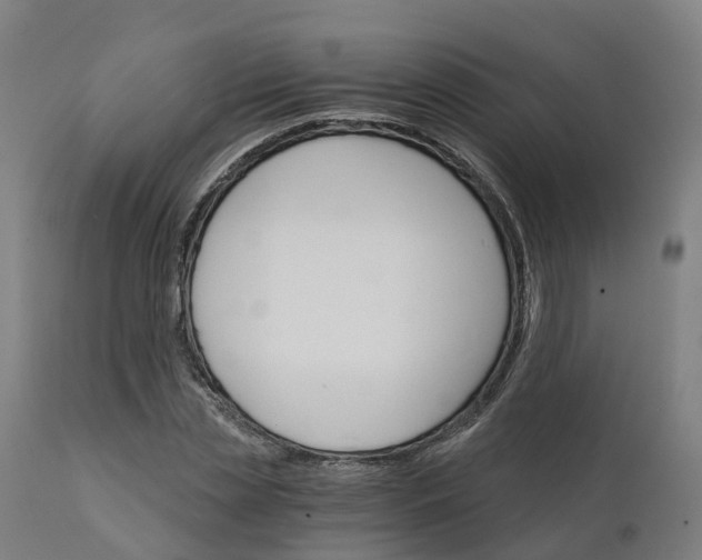 X0000112430829200908281900