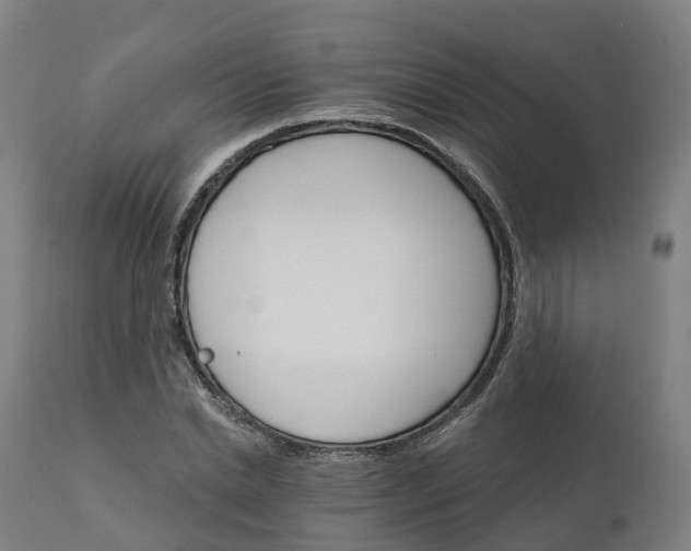 X0000112430830200908281900