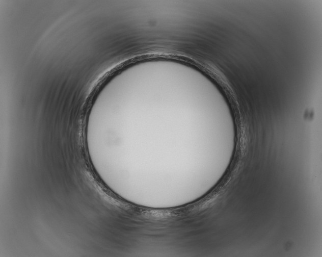 X0000112430831200908281900