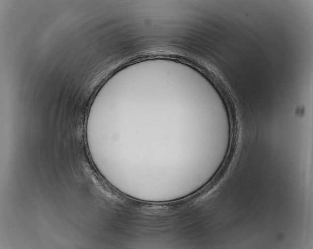 X0000112430833200908281900