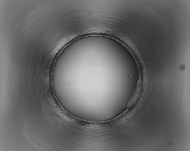 X0000112430834200908281900