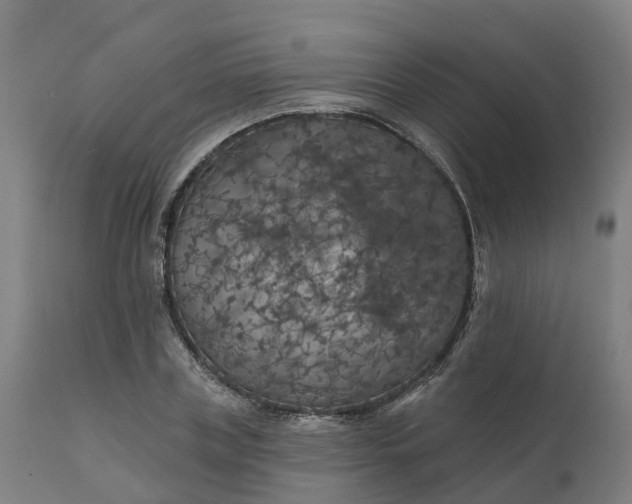 X0000112430835200908281900