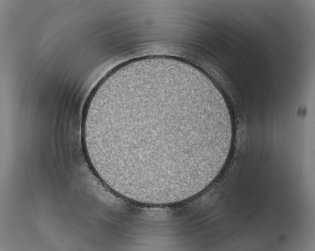 X0000112430836200908281900