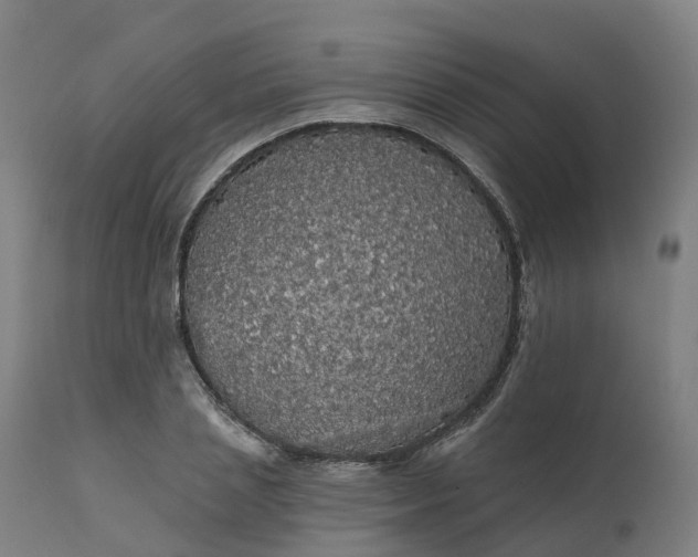 X0000112430837200908281900