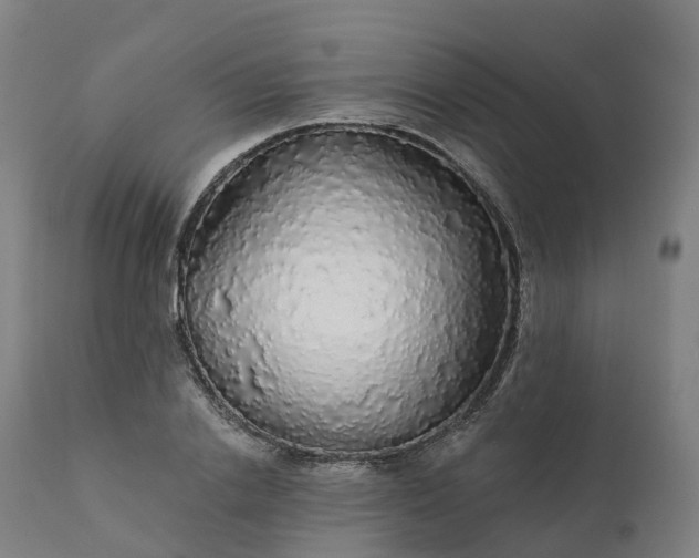 X0000112430838200908281900