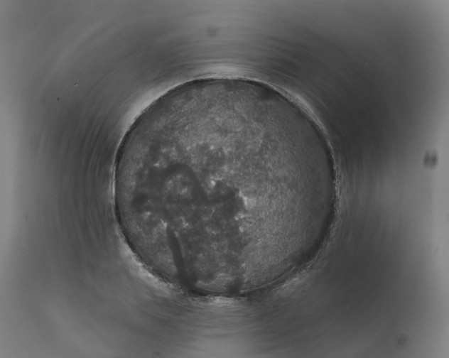 X0000112430839200908281900