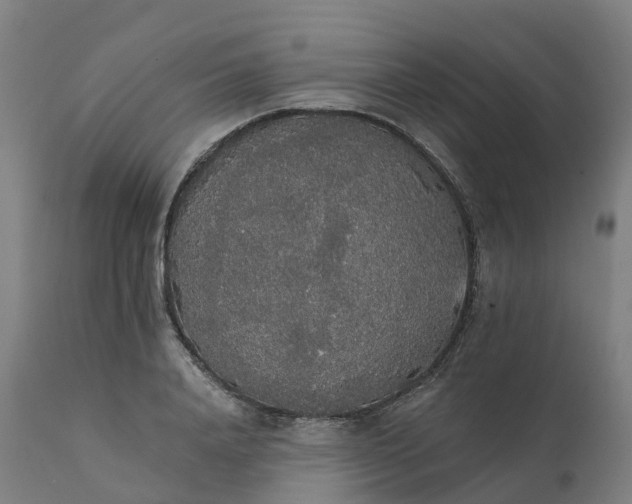 X0000112430840200908281900