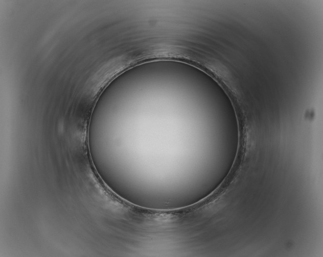 X0000112430841200908281900