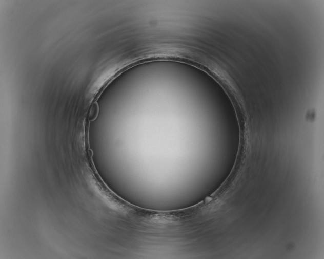 X0000112430842200908281900