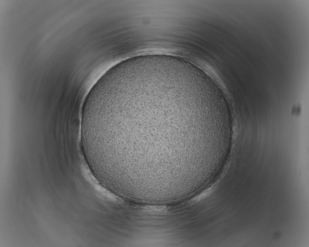 X0000112430844200908281900